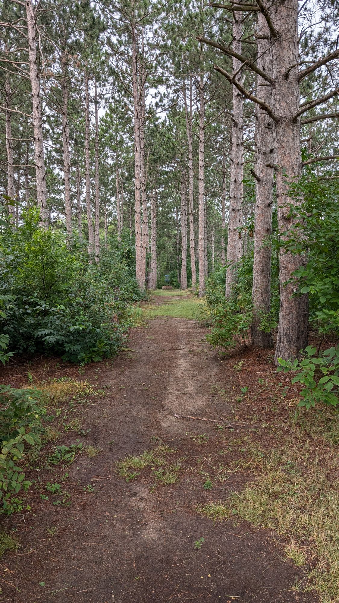 Hole 1