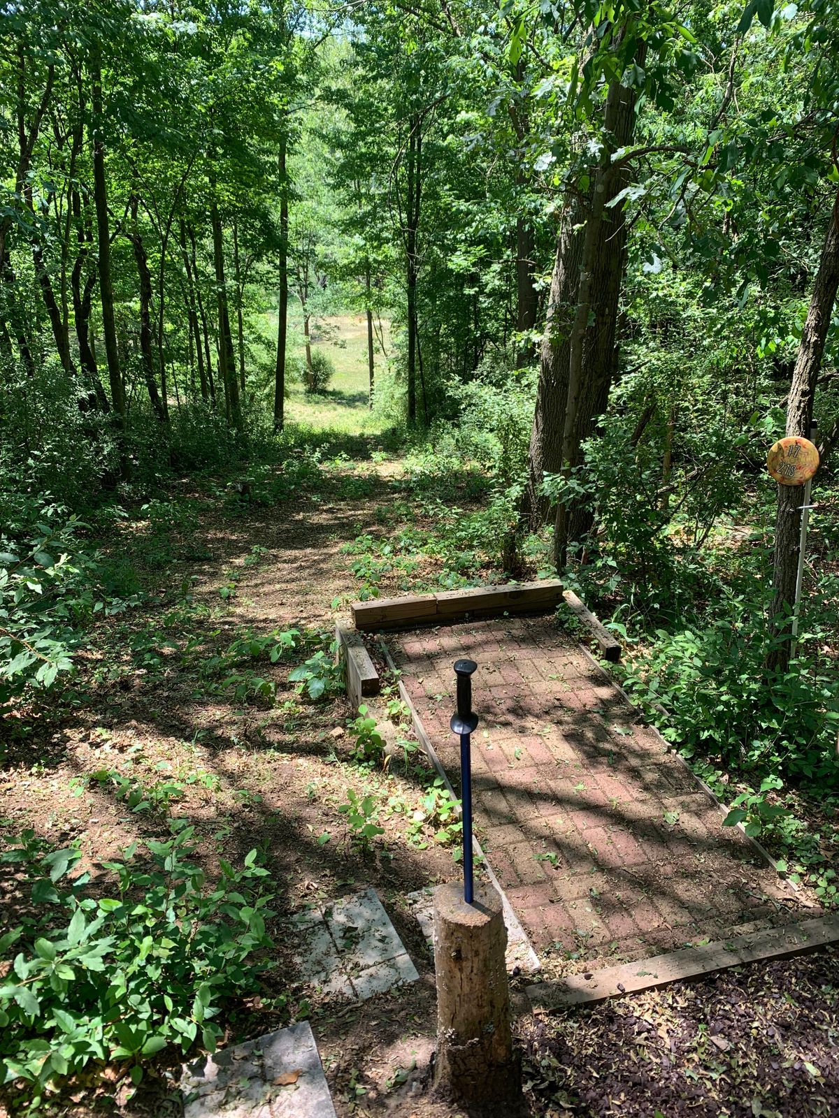 Hole 17 basket to right in valley