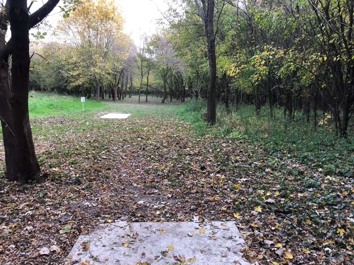 Hole 5 Blue Tee 2022