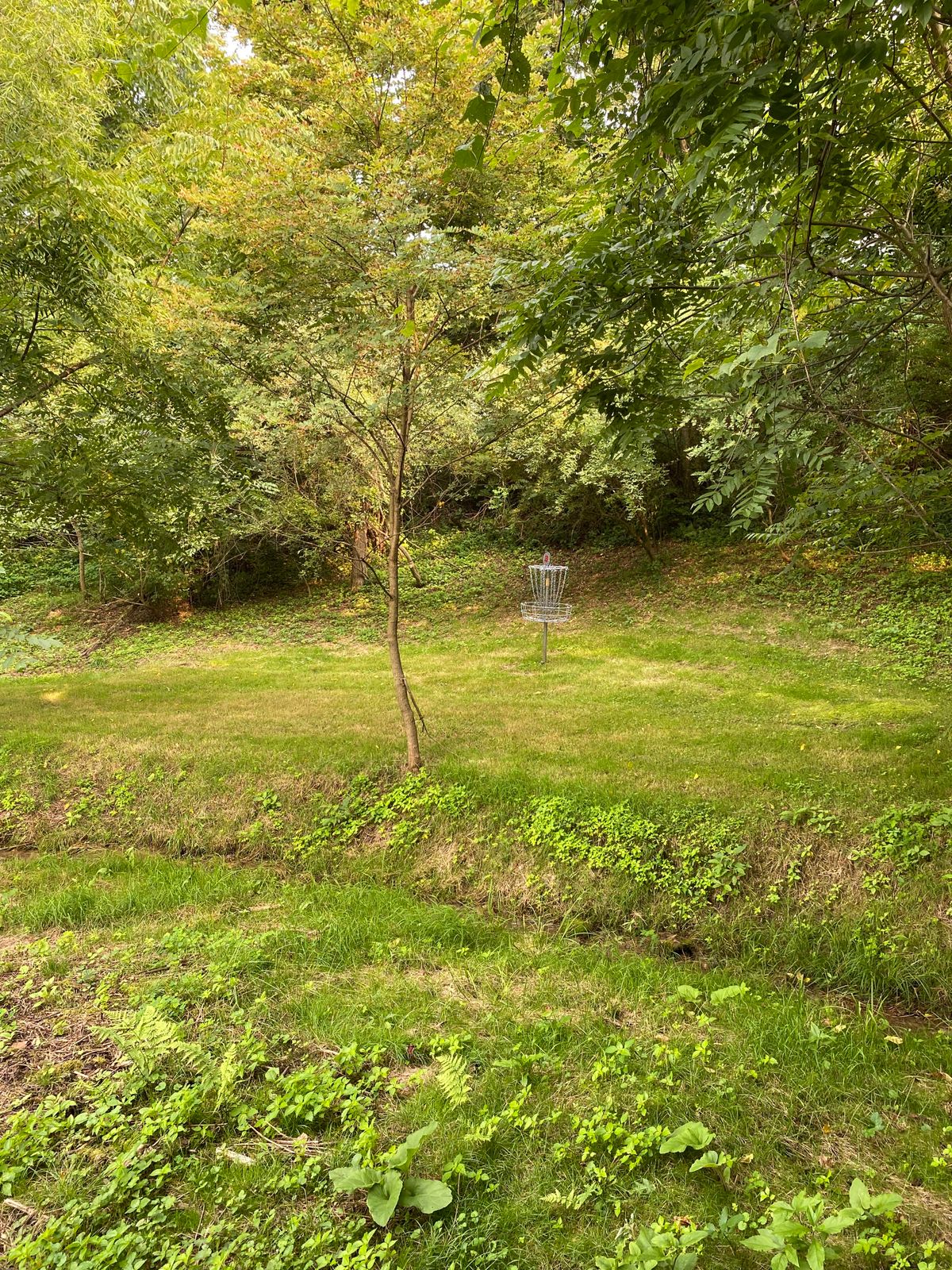 Hole 3 green