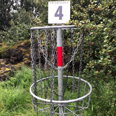 Hole 4 basket. All other baskets are similar
