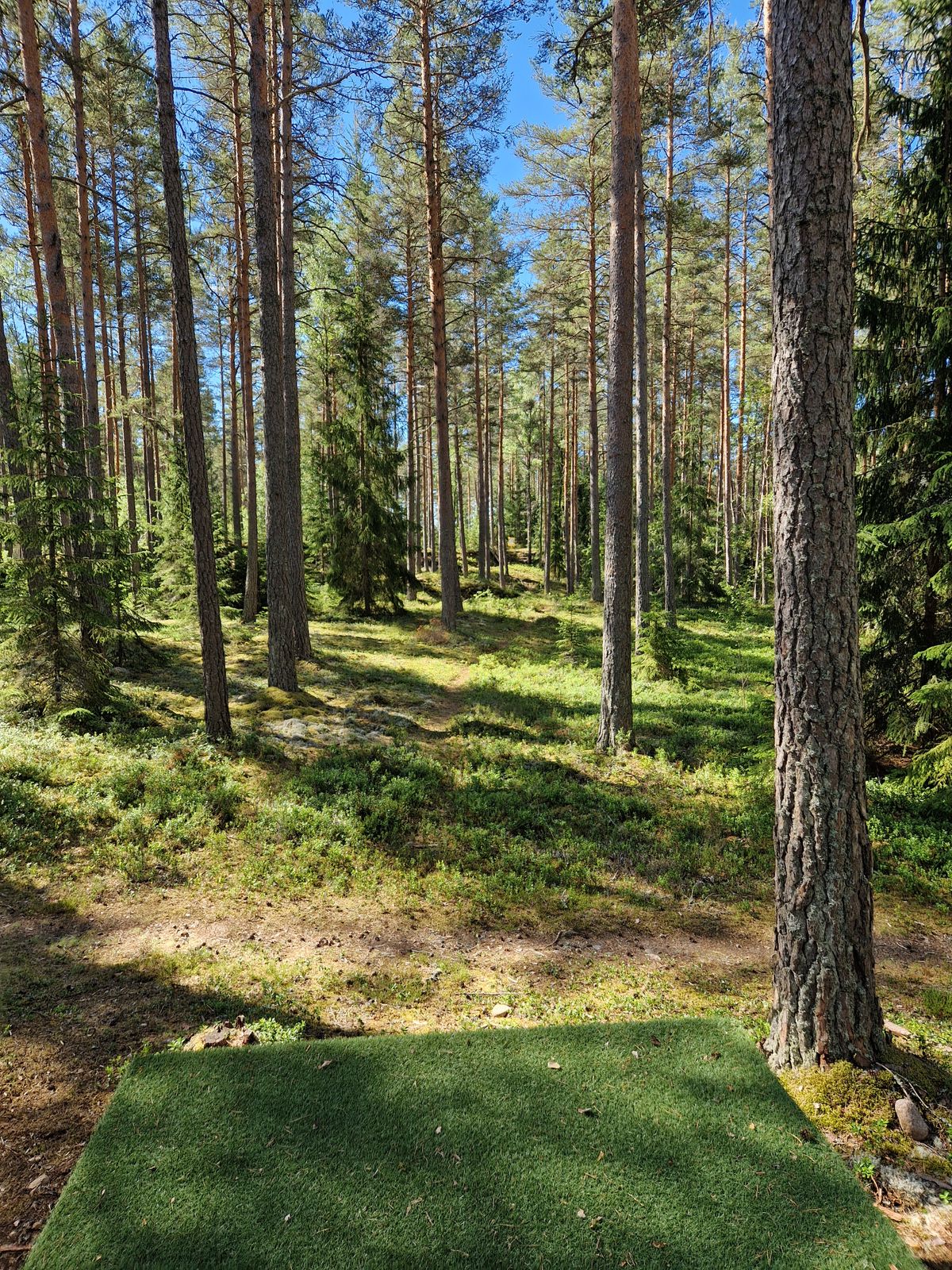 Hål 7