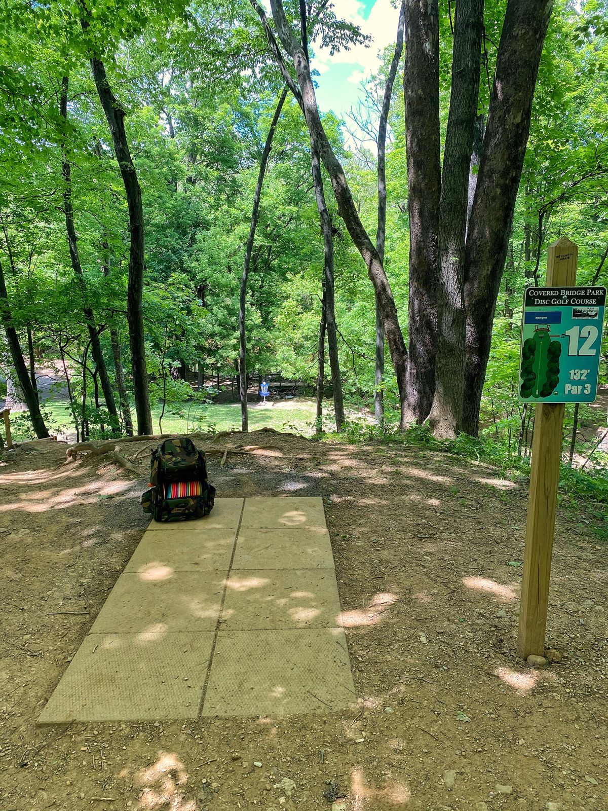 Short downhill #12...  don’t over throw the basket!