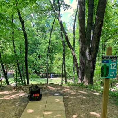 Short downhill #12...  don’t over throw the basket!