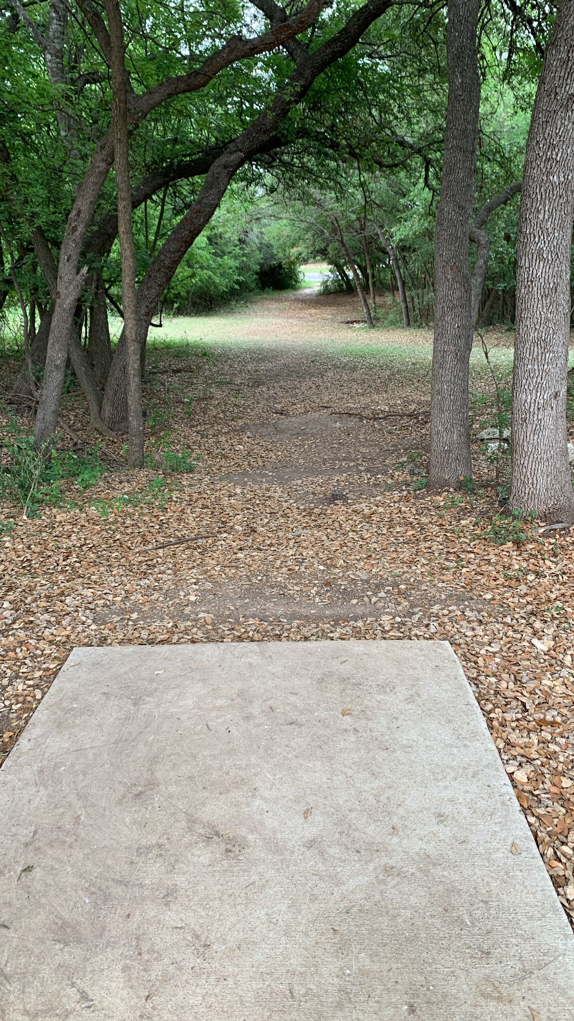 Hole 9