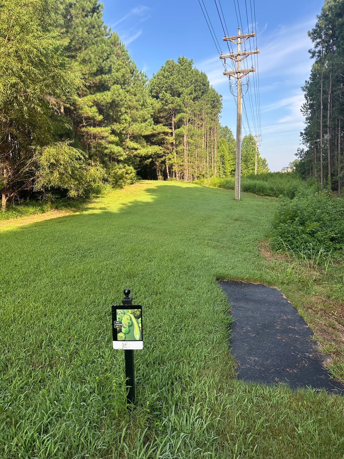 #3 tee