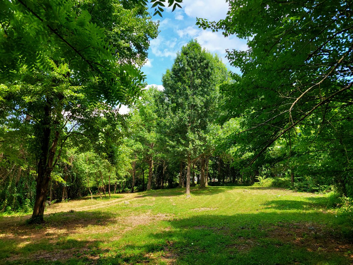 15 reverse fairway (looking back at tee from mid-fairway)