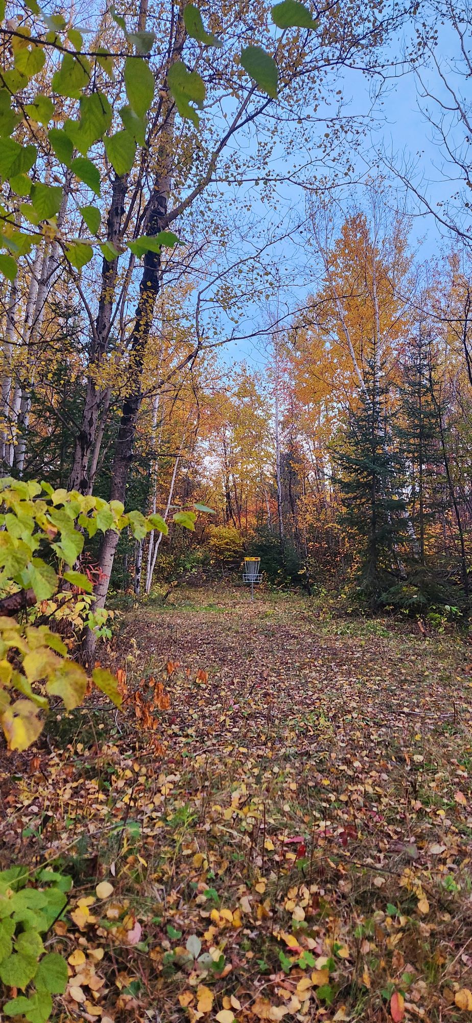 Trou #4 / hole #4