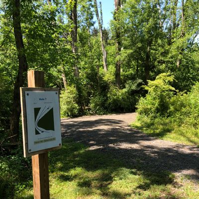 Hole 7