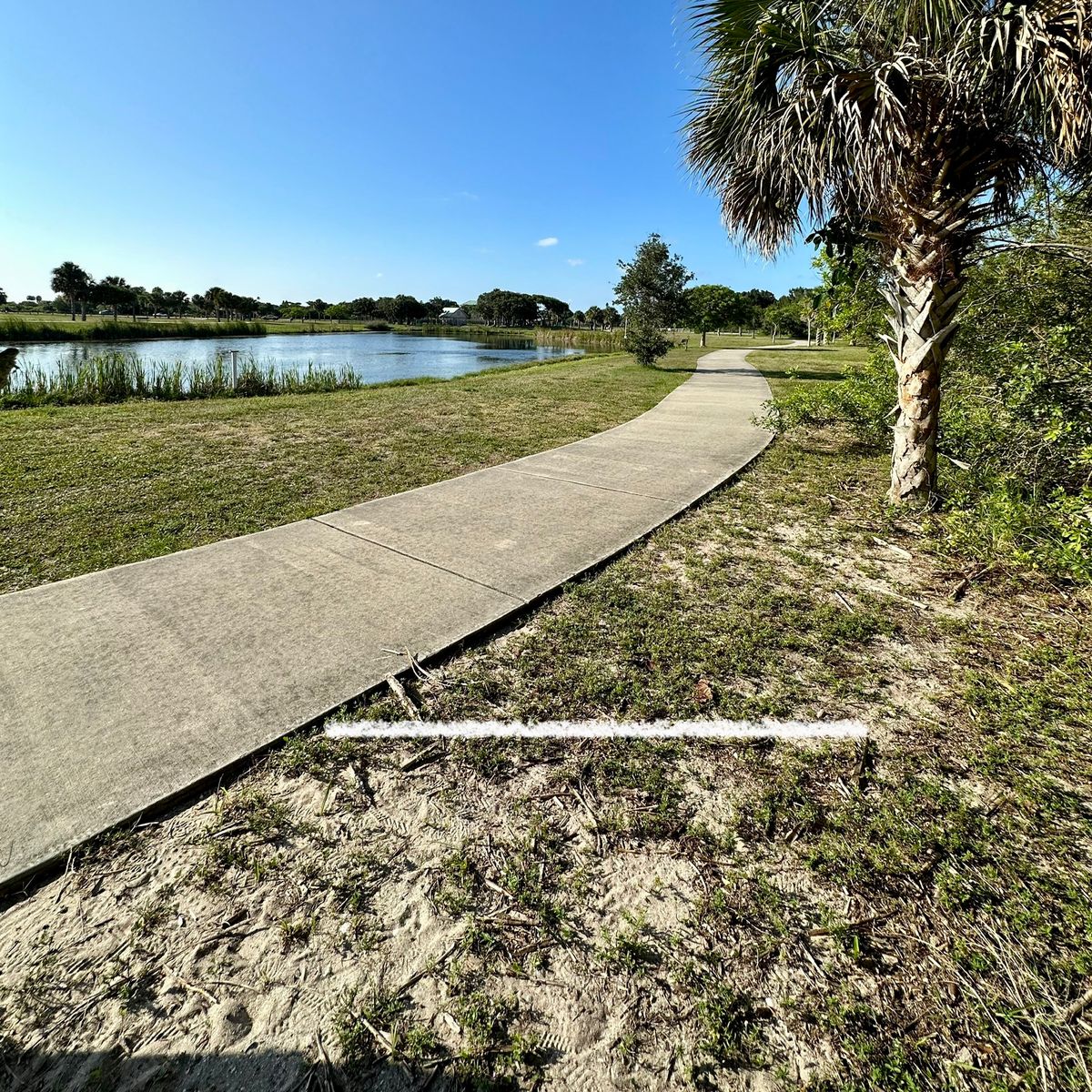 Hole 6 white