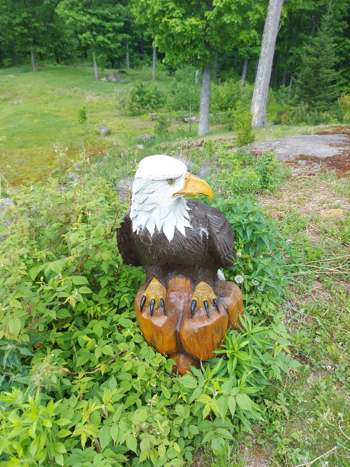Out standing  beautiful work on 🦅🦅🦅🦅
