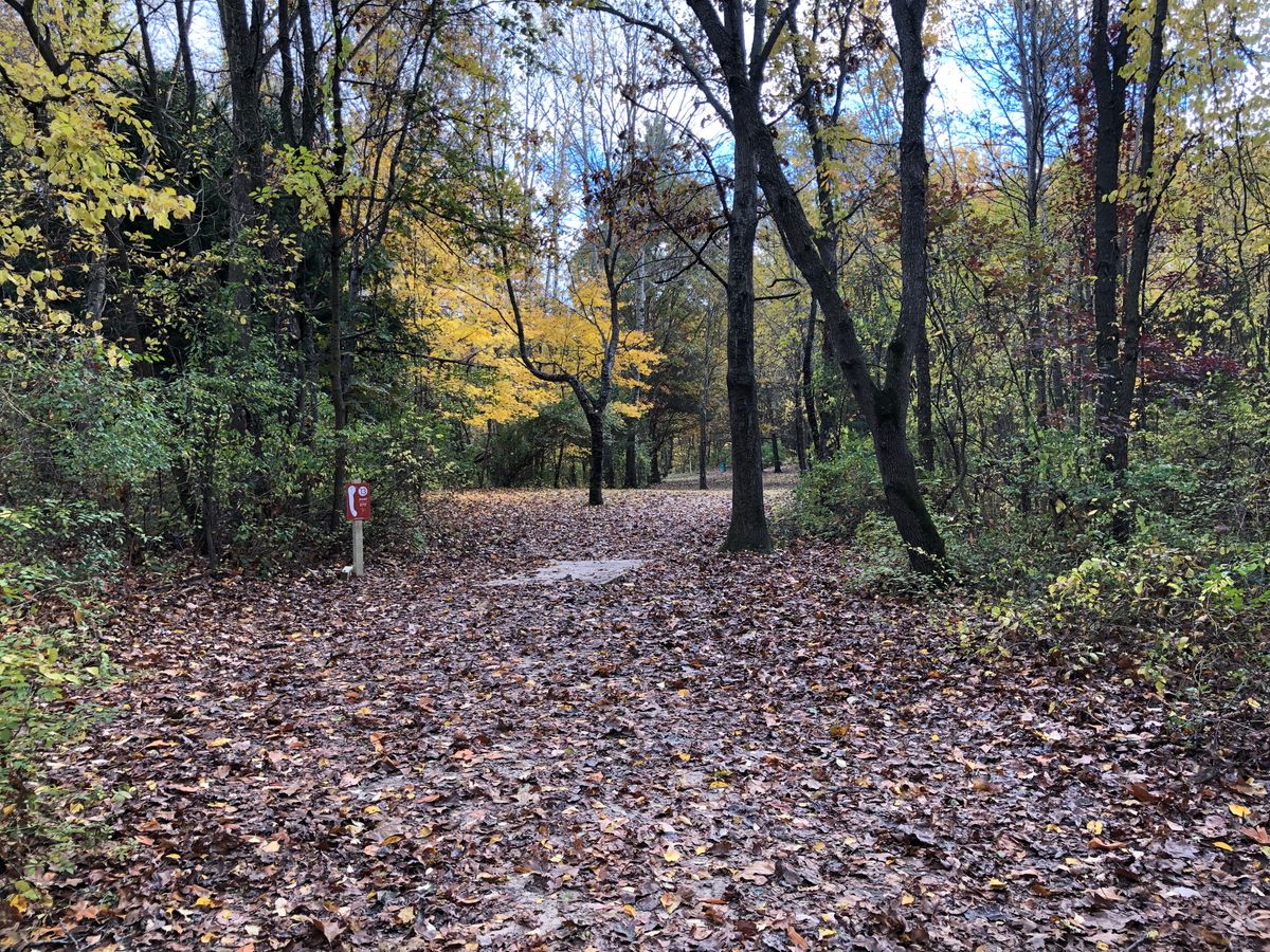 Hole 13 long teepad
