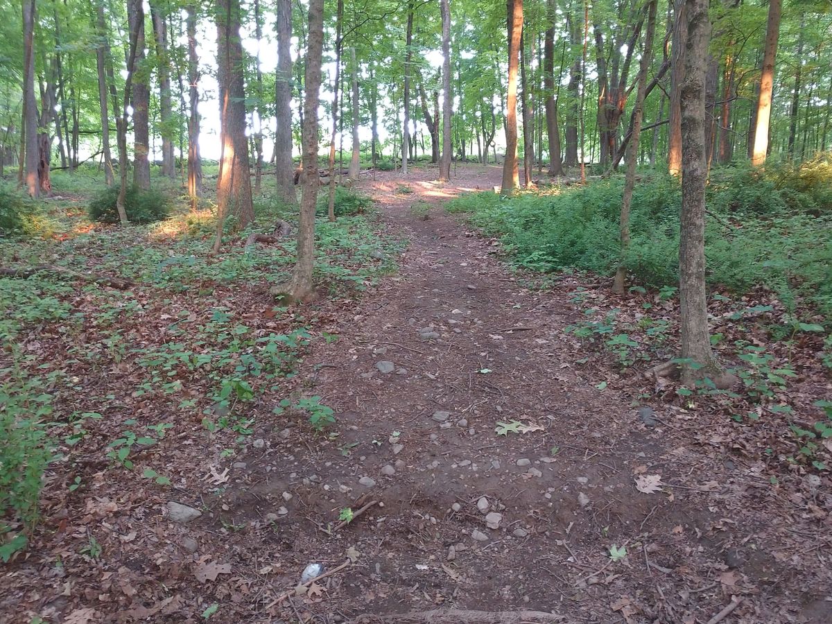 Hole 11
