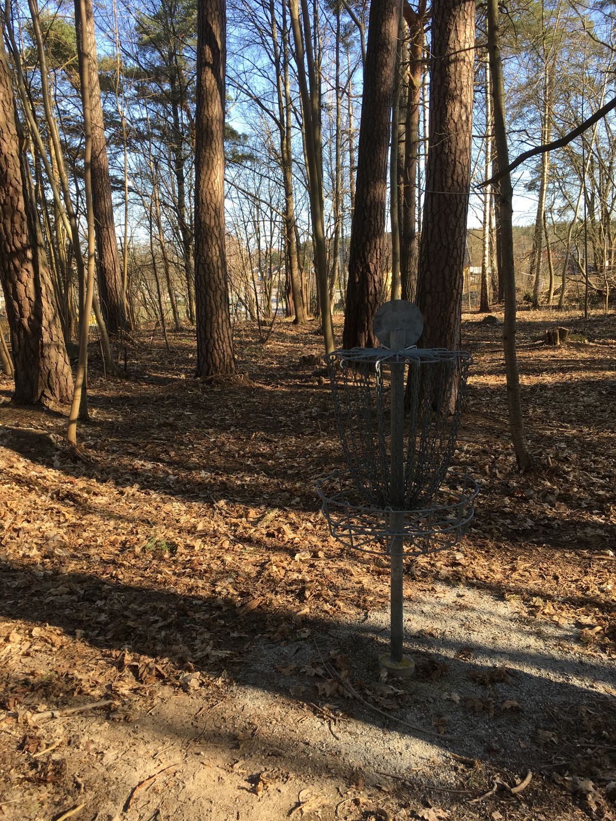 Hole #5