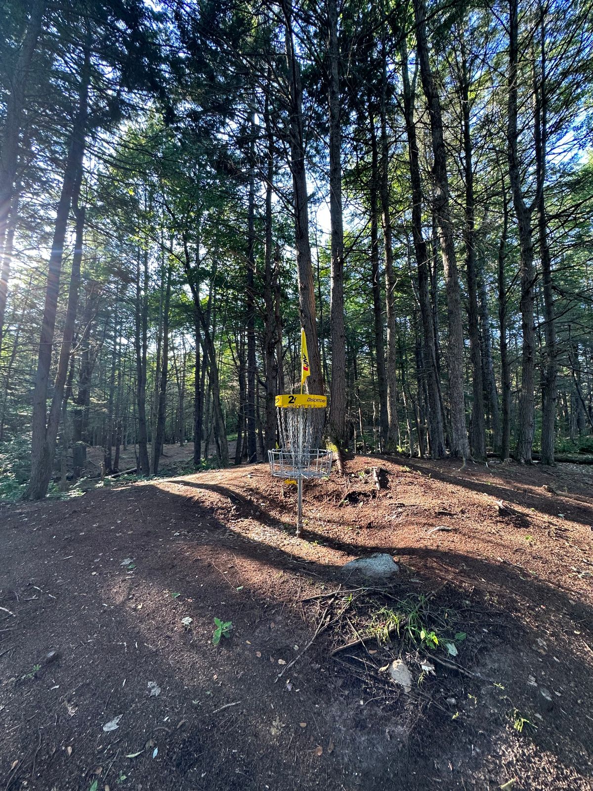 Hole 2 - Basket