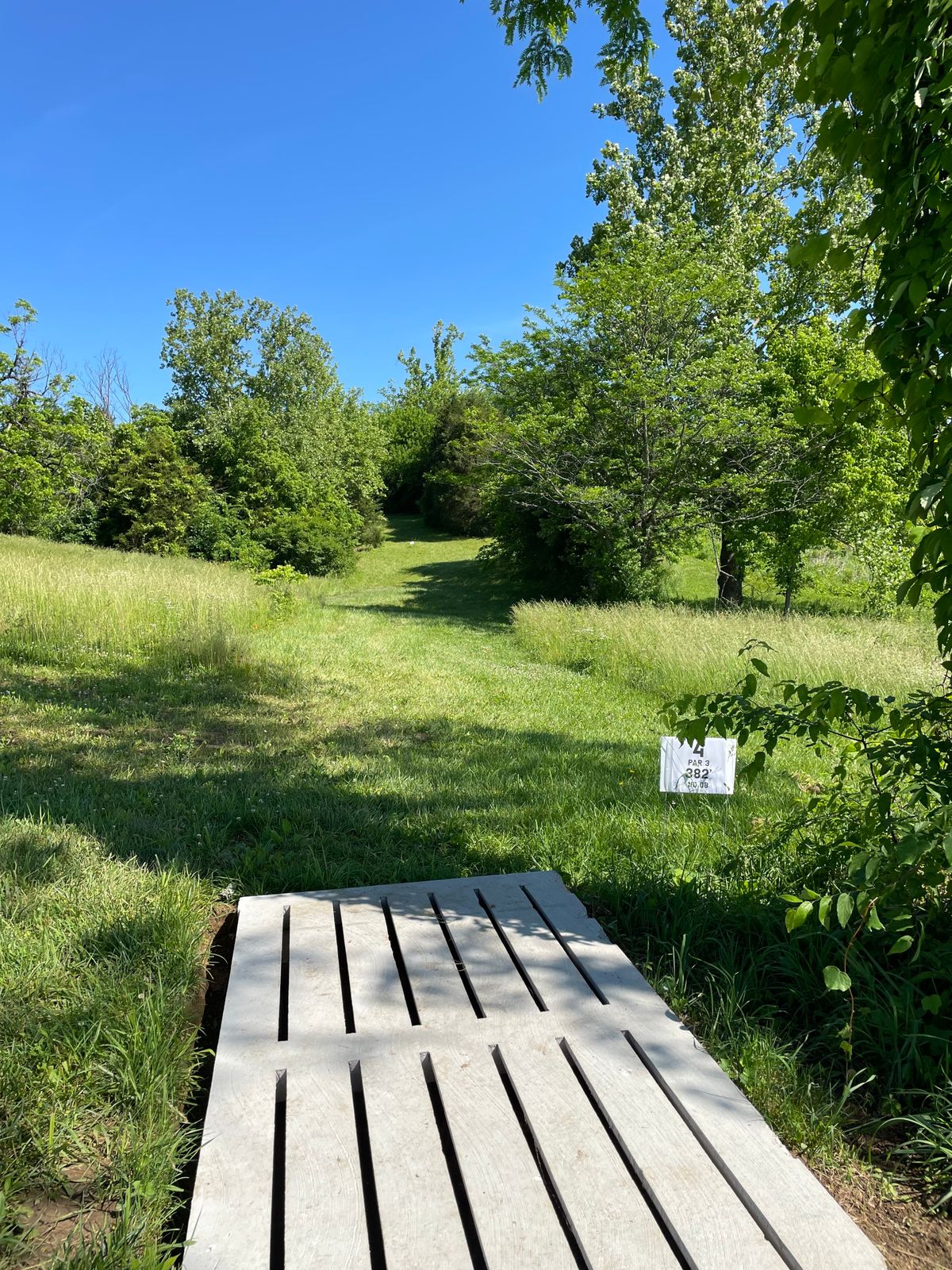 Hole 4