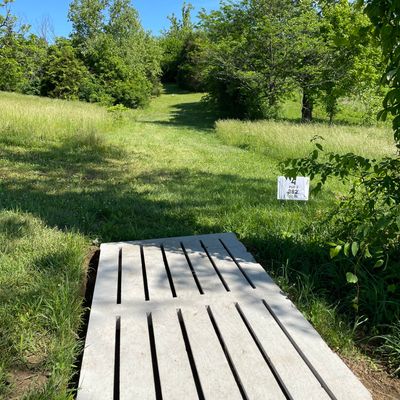 Hole 4