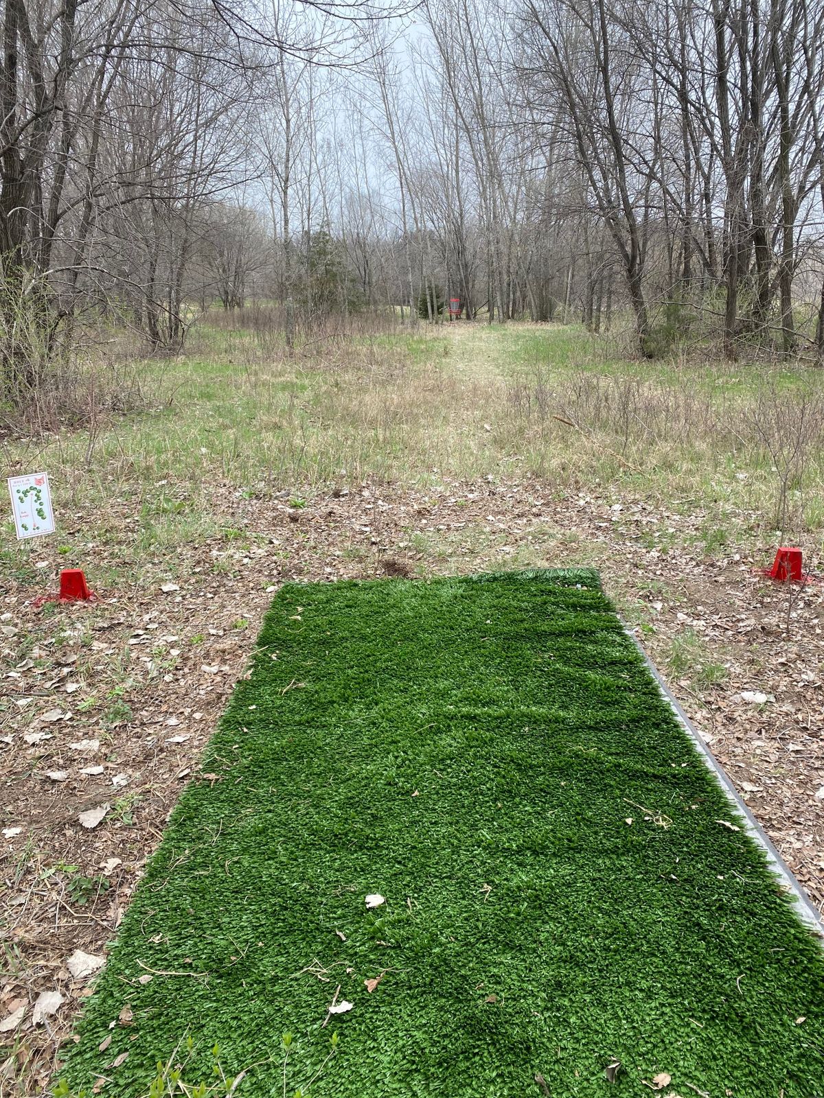 Hole 6 (April 2021)