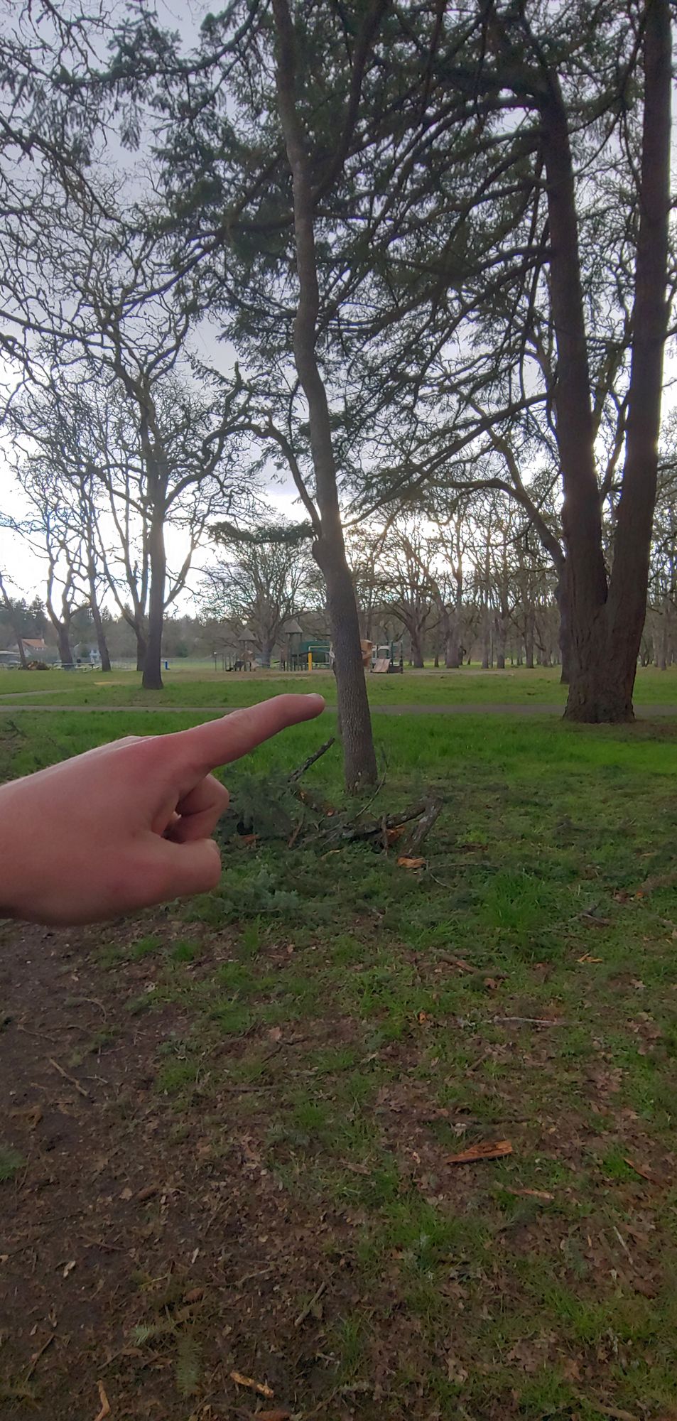 Hole 14