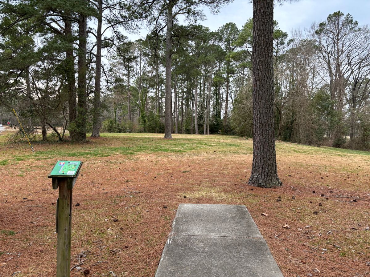 Hole 17 shorts