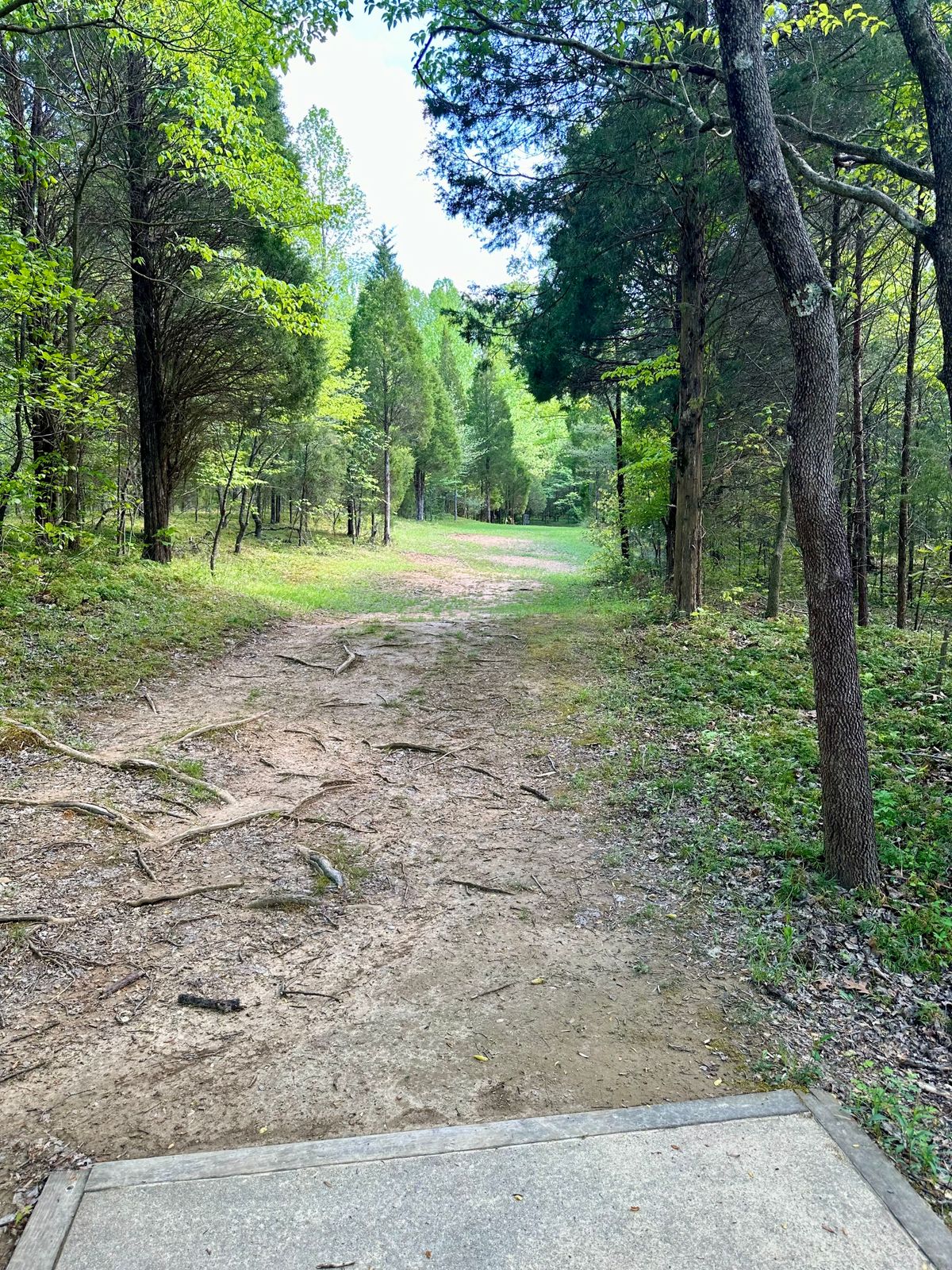 Hole 14.