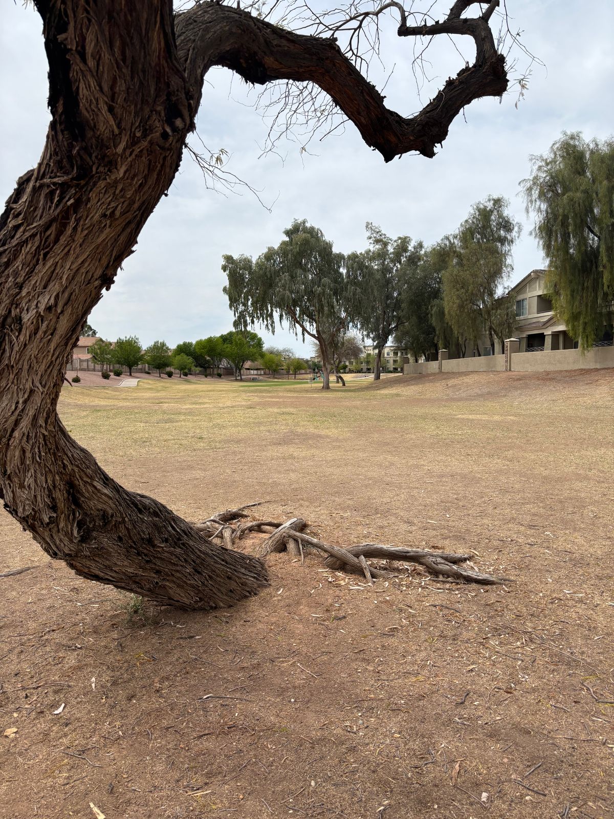 Hole 2- Mando left of marked tree. concrete wall & beyond OB. Watch for #8 tee on right.