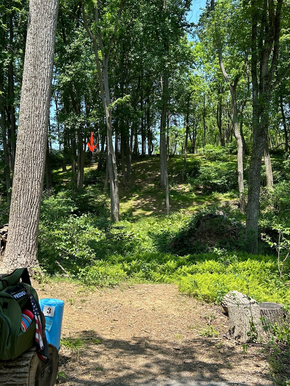 Blue hole 3, short tee.