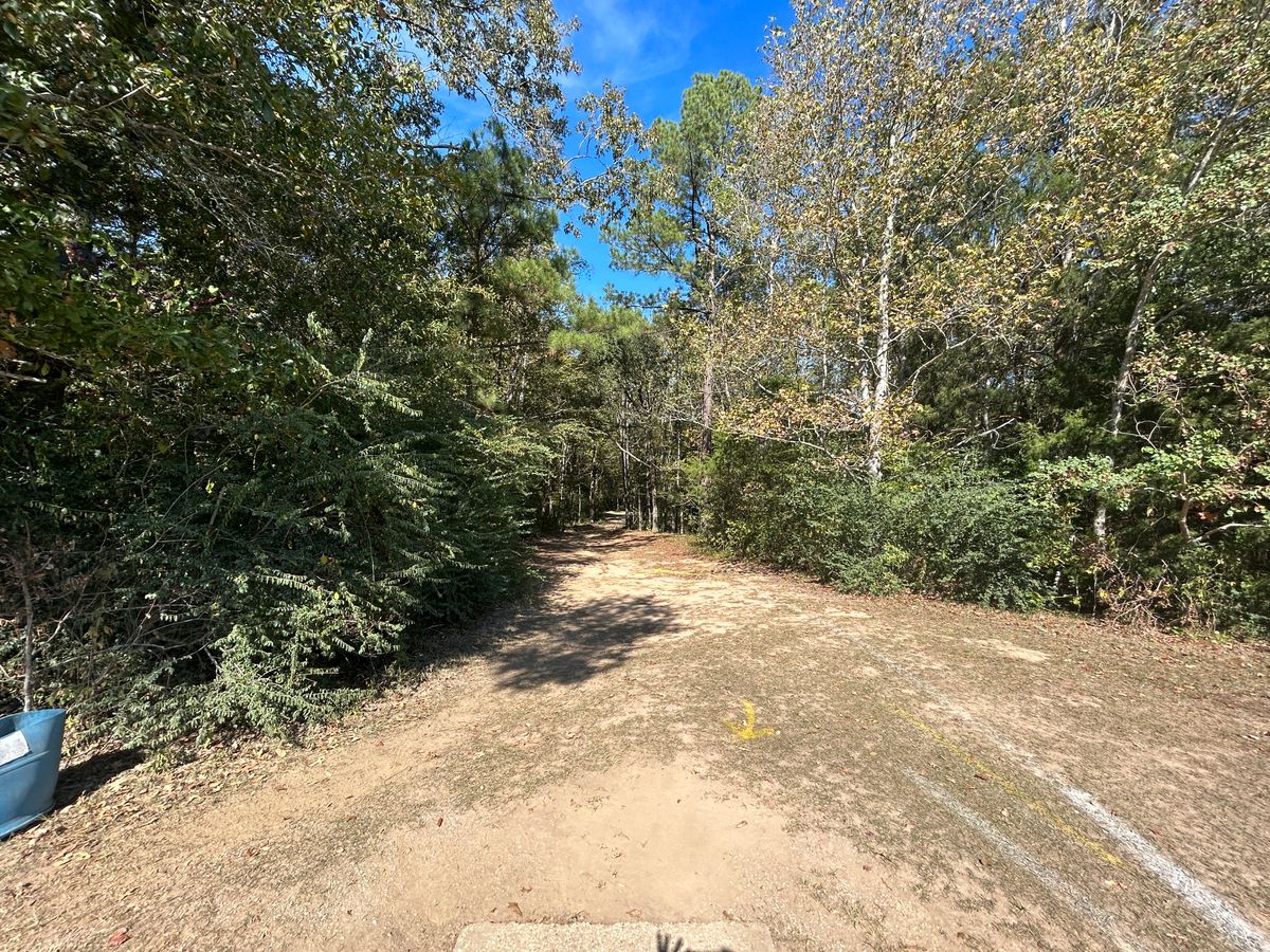 Hole 1 Fairway