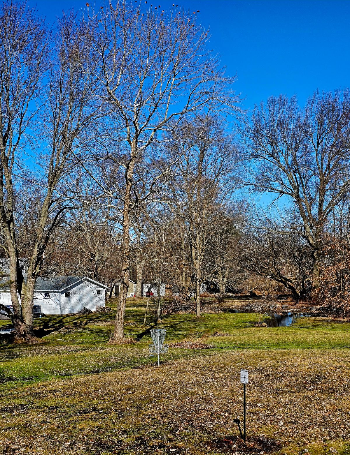 Pretty little valley