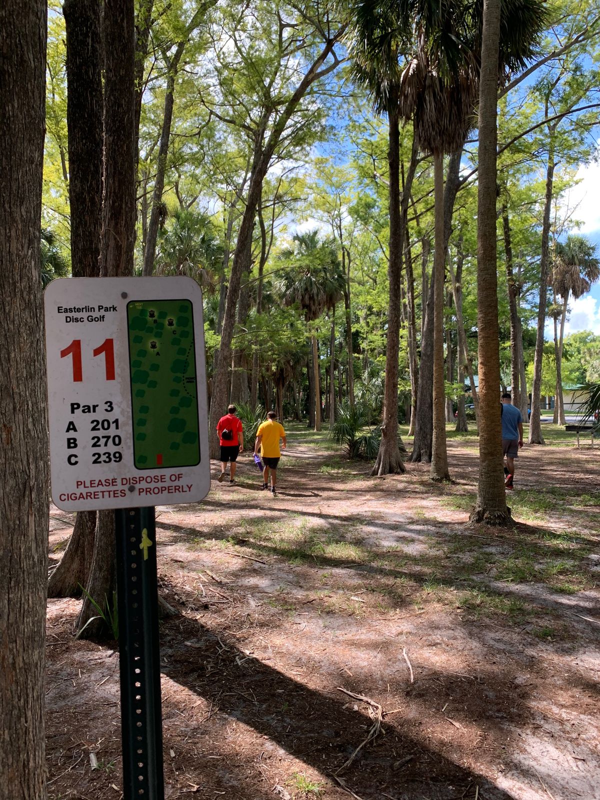 11's Heavy wooded fairway with a partially blind basket.