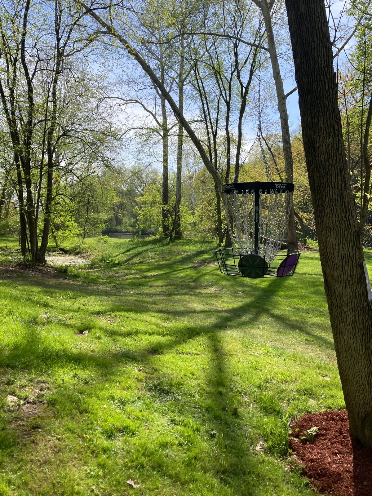 Hanging Basket: Hole 5