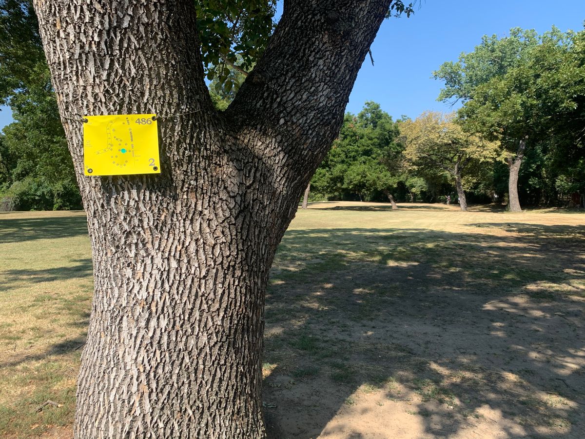 Hole 2, signage on the tree to the left of the tee pad