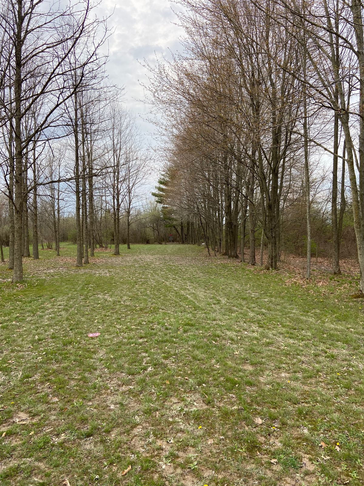 At the 90 degree dogleg of hole 6. Place your first shot here, then 195 feet straight to the pin.