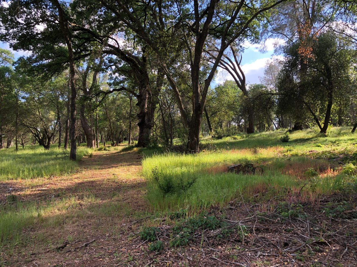 Hole 8