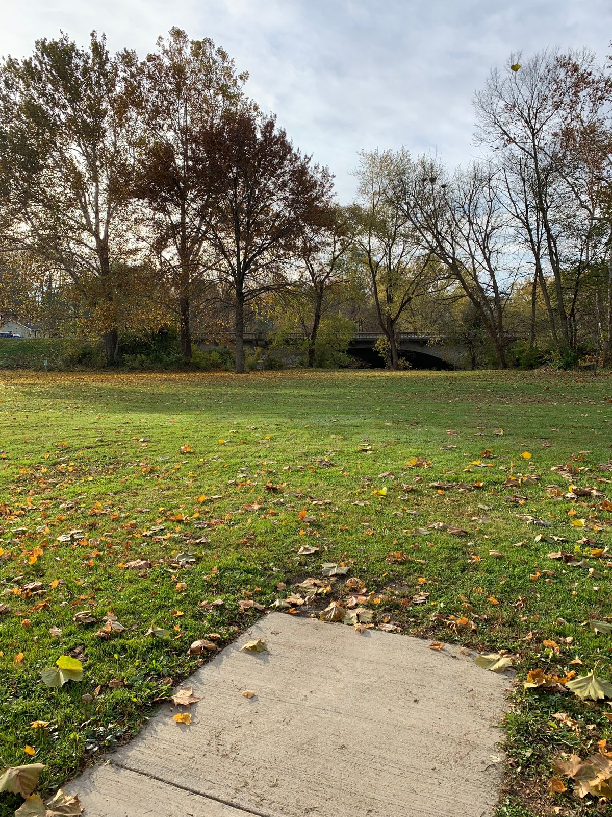 Tee pad 01.