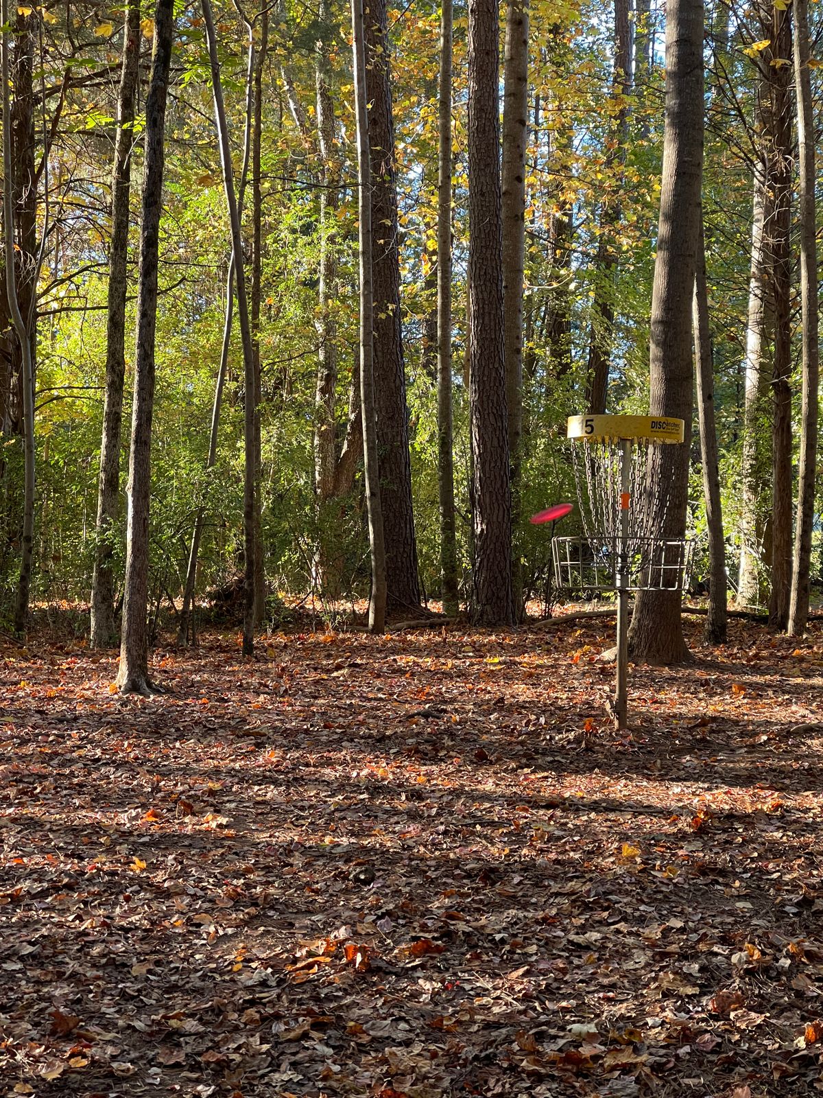 Hole 15 Oct ‘21