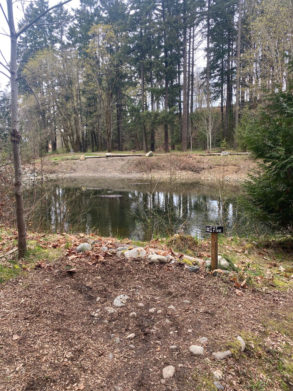 Hole 17 tee pad and basket in background