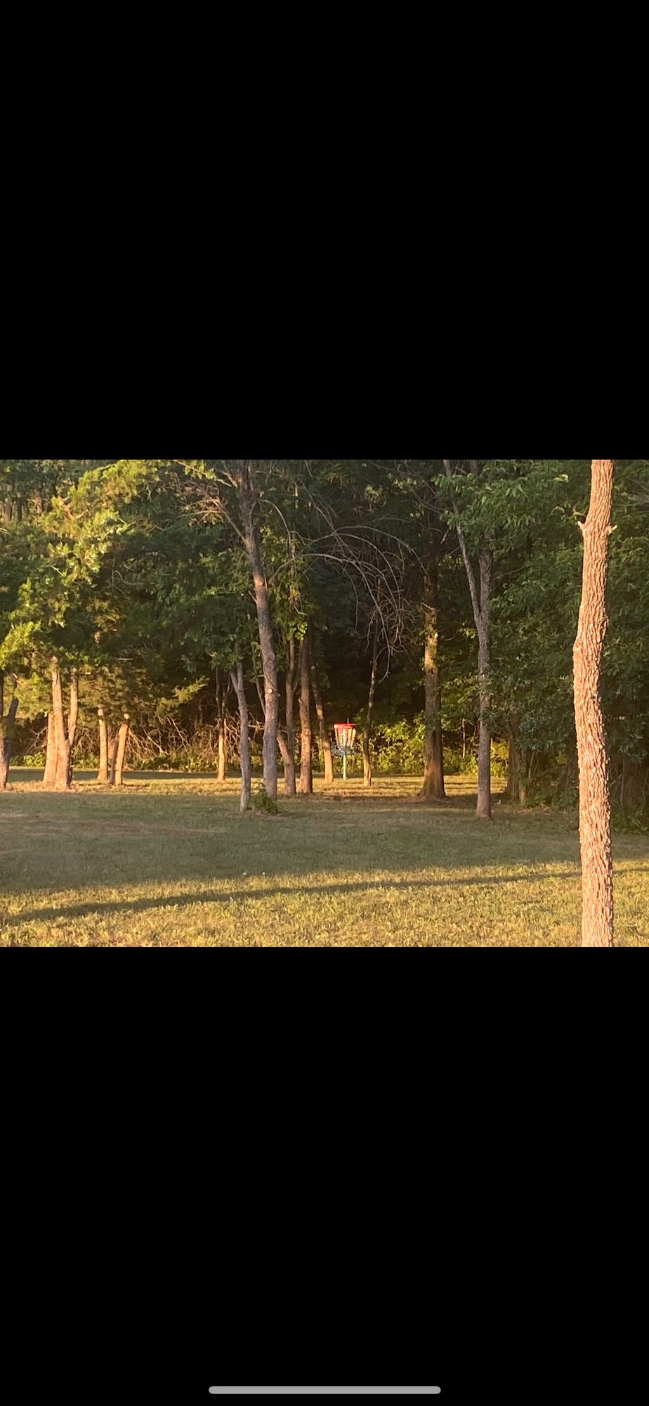 Hole #3 Guardians to the basket