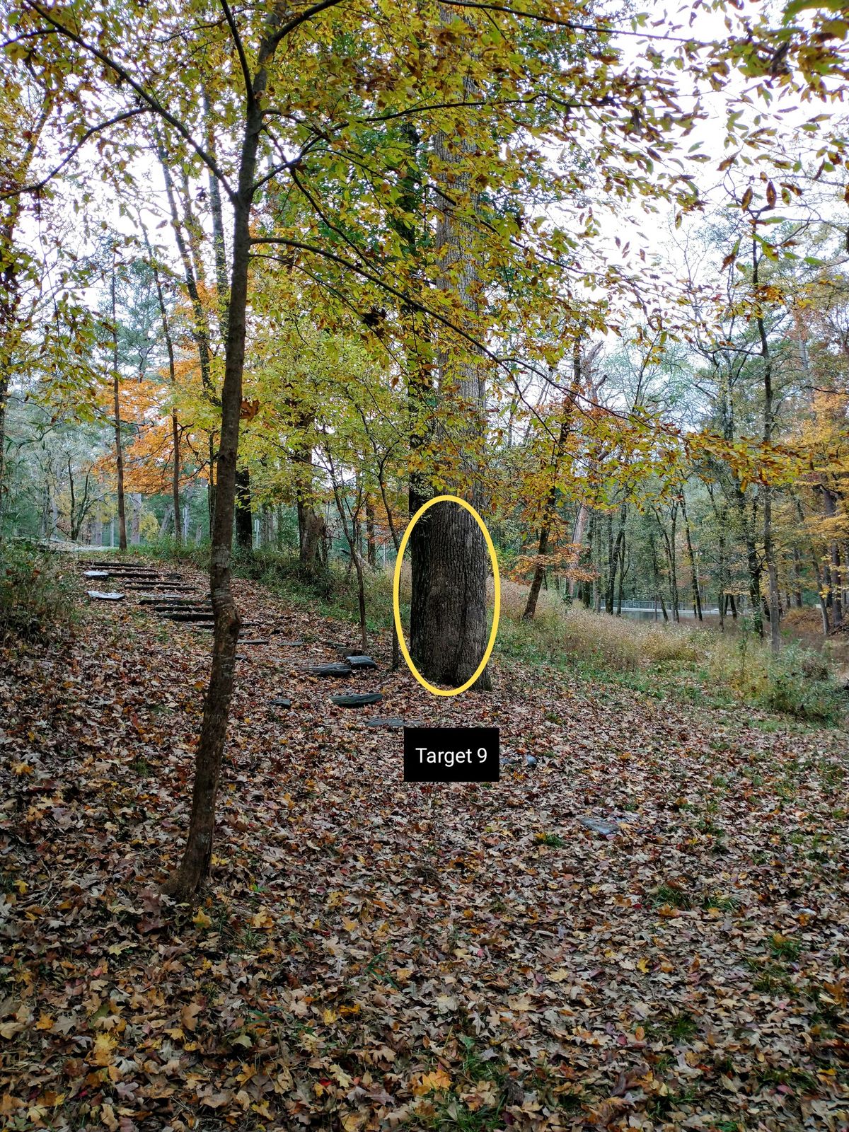 Target 9