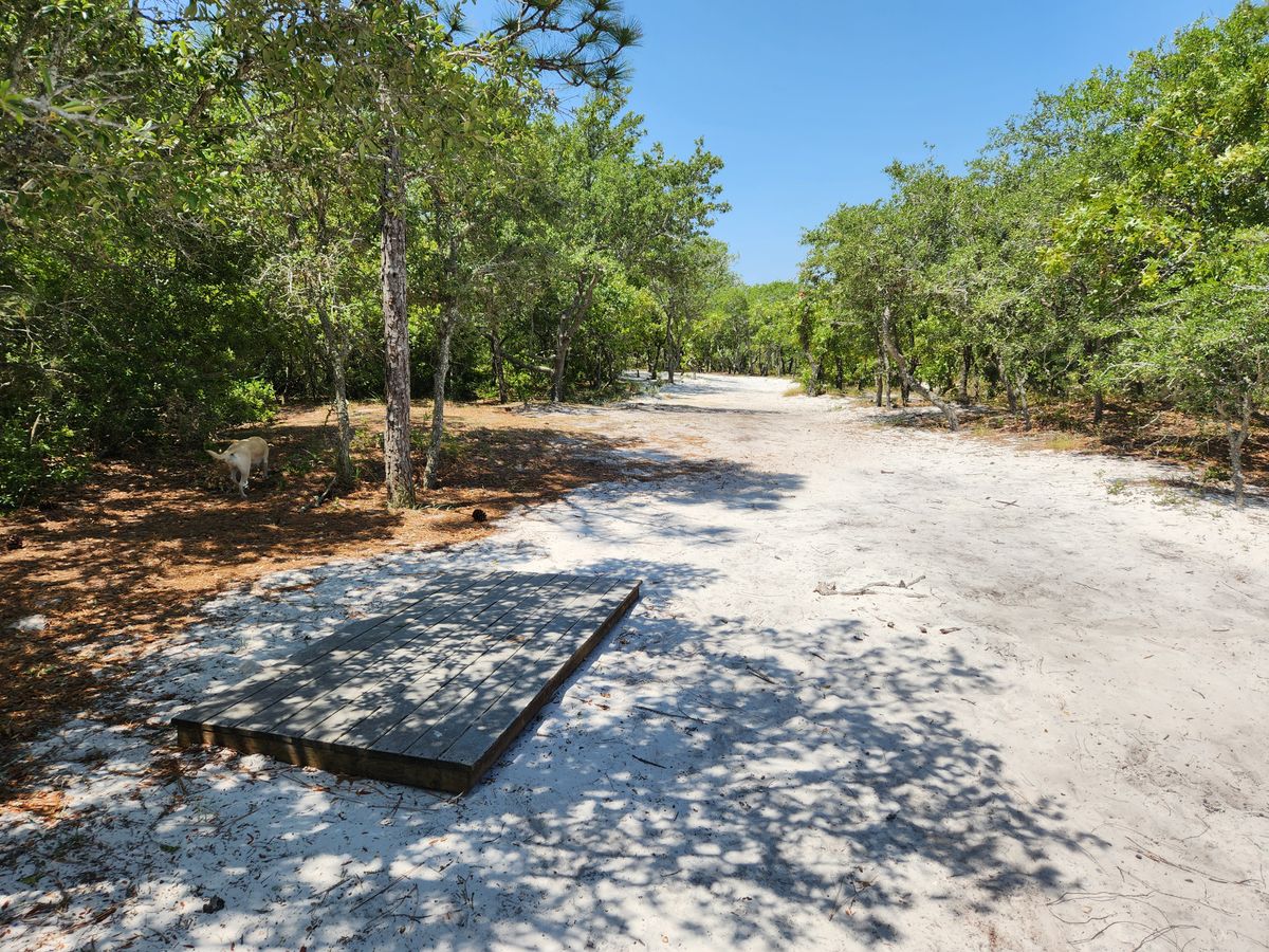 Hole 12 short tee