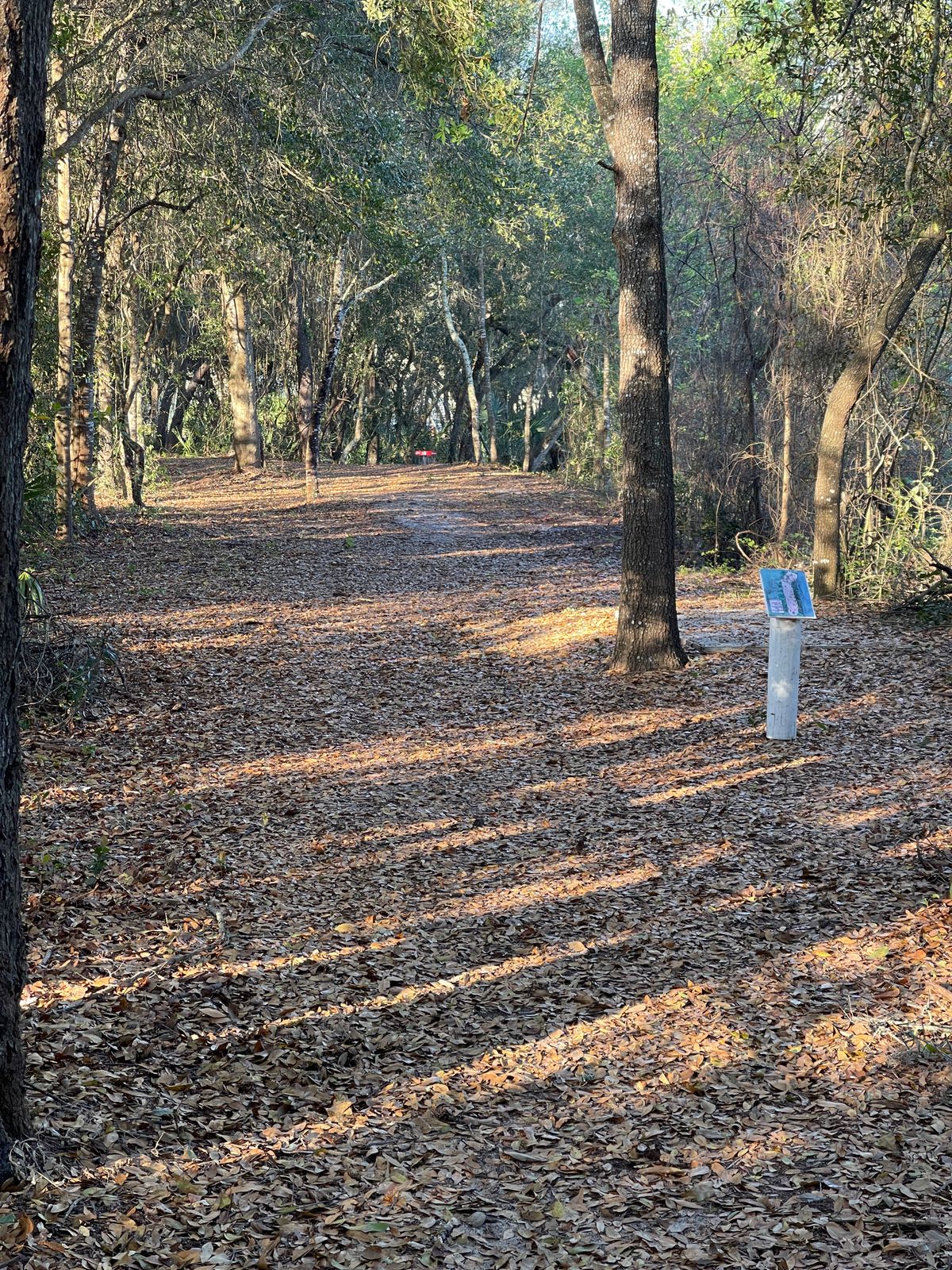 Hole 16