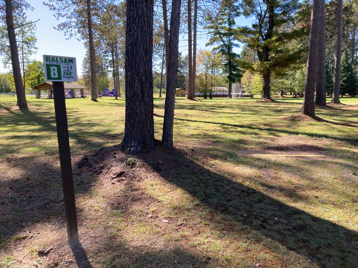 Hole 8 starts easily enough, but the target is around the corner of a softball field backstop.
