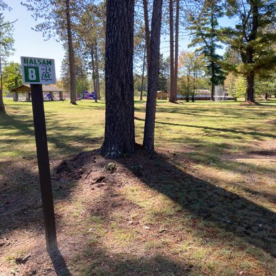 Hole 8 starts easily enough, but the target is around the corner of a softball field backstop.