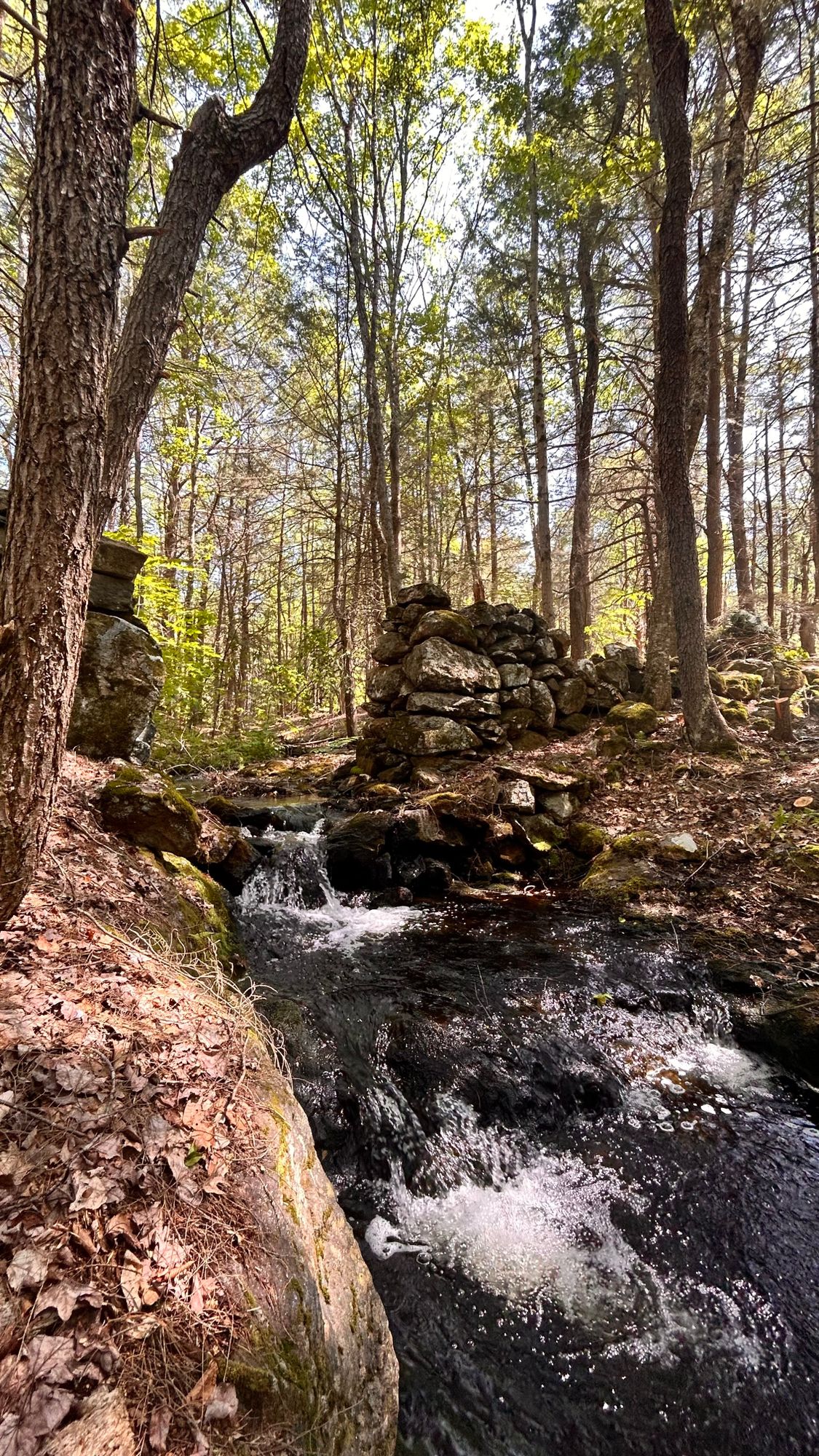 Sounds of running water!