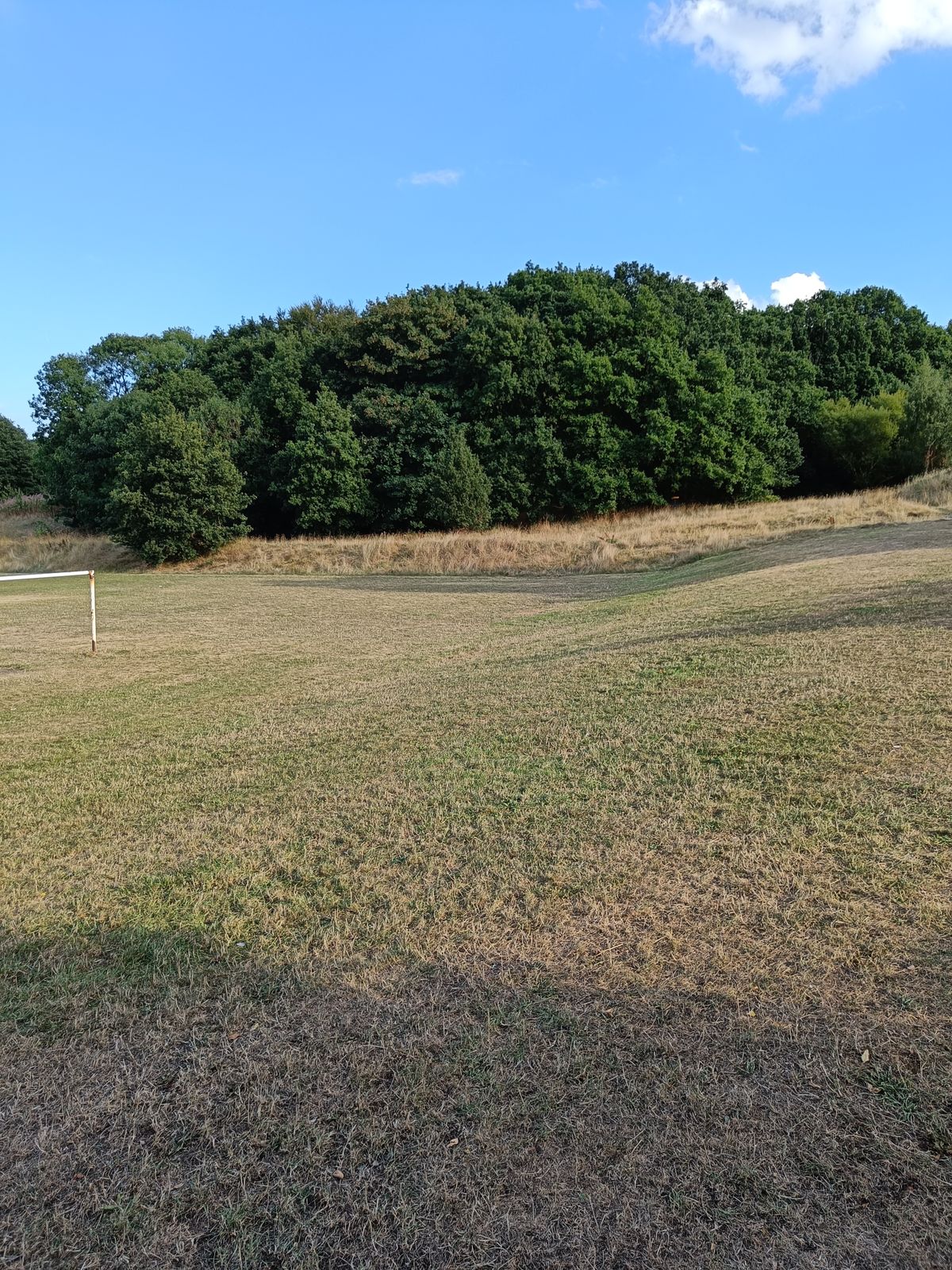 Four Stumps Hole 1 Tee - Across the field to Main Basket 2

