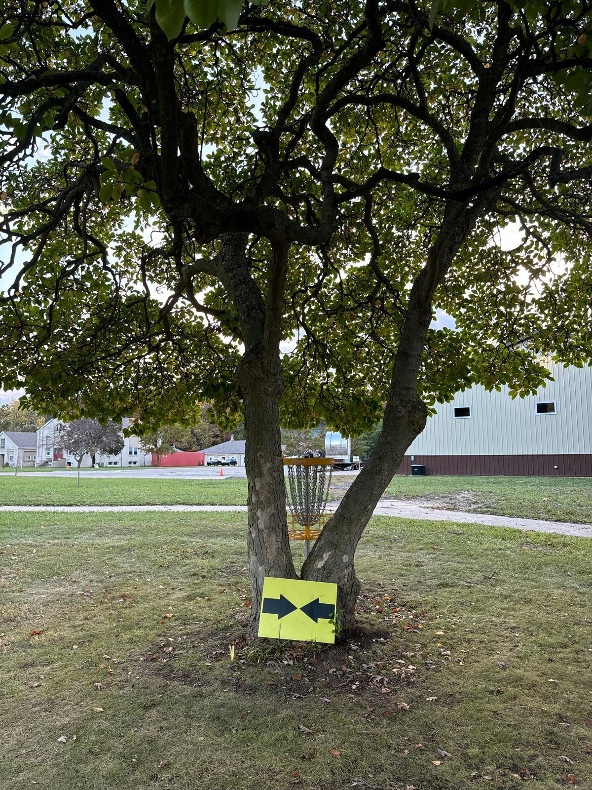 14 Basket (must go through double mando - biggest trunk of each side of V-tree)