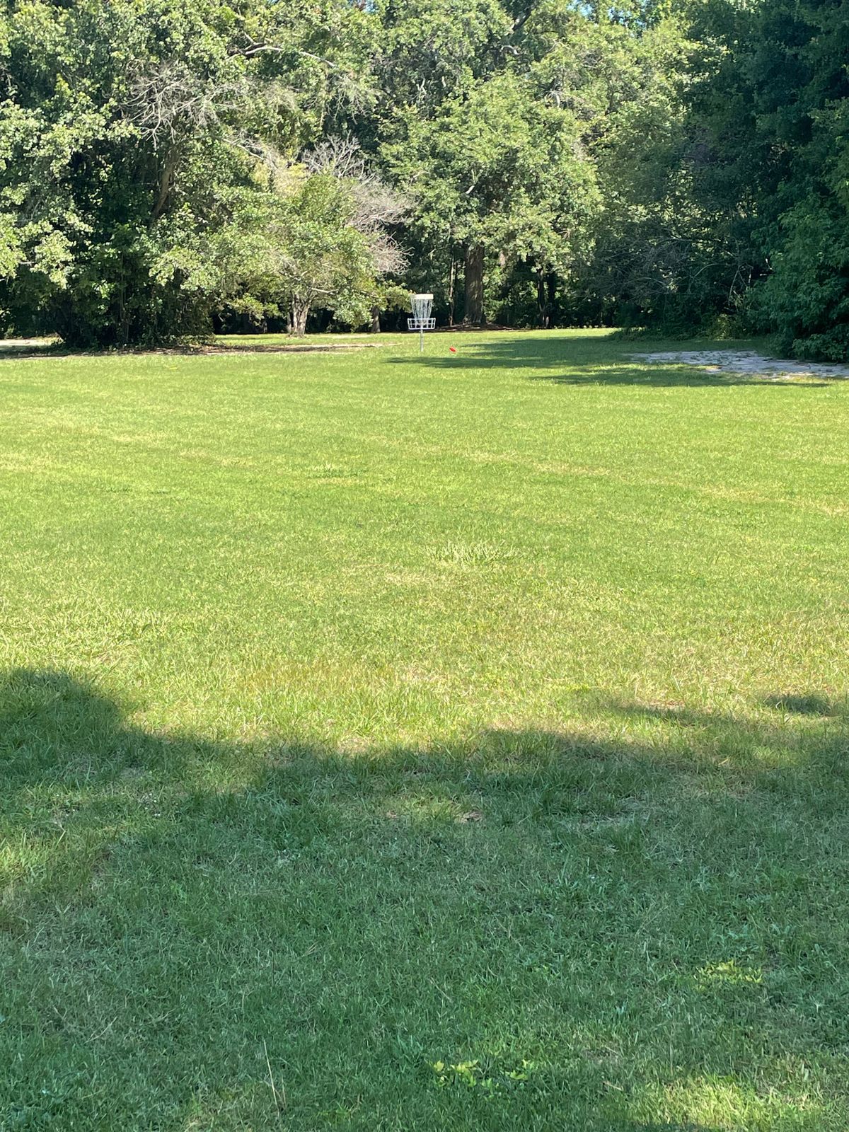 Hole #13 Approach To The Basket
