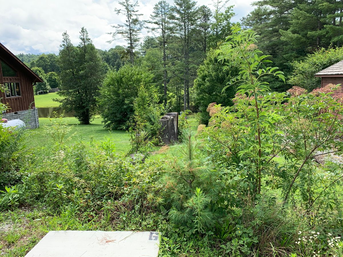 6-basket straight ahead, passed the stump down the hill. Water in the back.