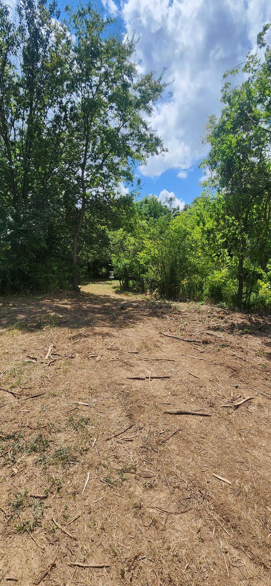 Hole 3