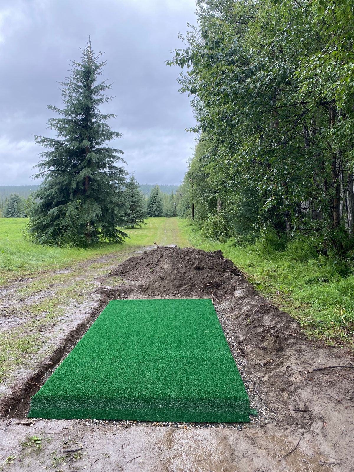 Hole 5 tee pad, basket tucked left behind third row of spruce trees in frame